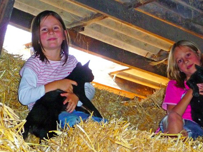 Bild 6 aus  Ferienhof Dingeldey