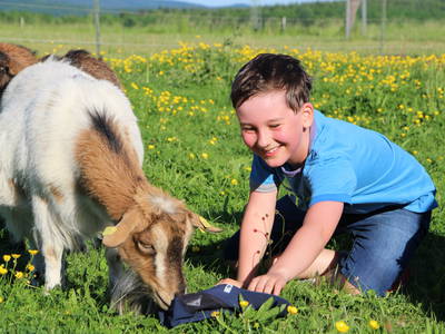 Bild 9 aus  Hof Hainholzblick