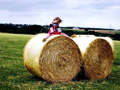 Bild 4 aus  Ferienhof Vennhof