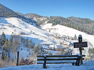 Bild 42 aus  Willkommen bei Familie Gutmann  auf dem Itzenwaldhof