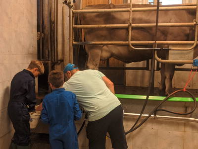 Bild 13 aus  Ratscheinerhof