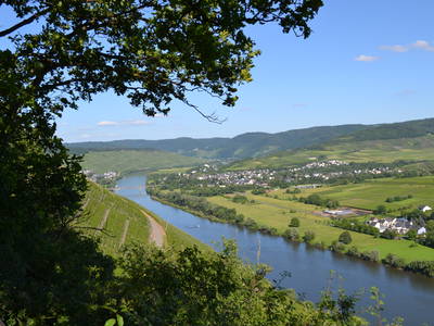 Bild 14 aus  Ferienwohnung Weingut Mathy Schanz