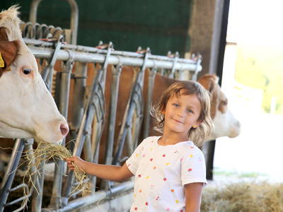 Bild 10 aus  Hollweck's Landoase