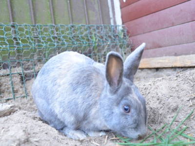 Bild 7 aus  Ferienhof Störwiese