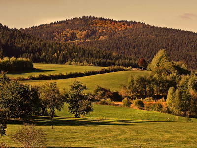 Bild 26 aus  Paulas Bauernhof im Bayerischen Wald