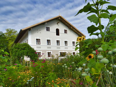 Bild 2 aus  Gästehof Huber