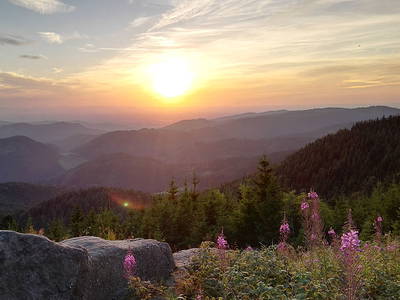 Bild 24 aus  Hirzighof