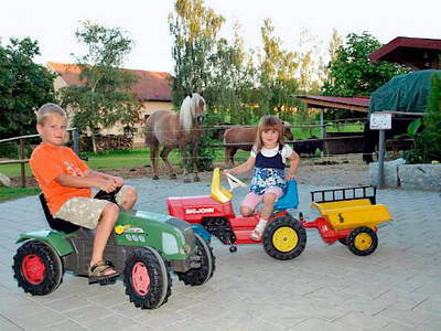Bild 7 aus  Mayerhof- der Ferienbauernhof mit dem Pool, den Pferden u. d. tollen Spielplatz