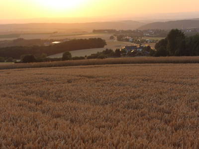 Bild 32 aus  LandSelection Grieshof