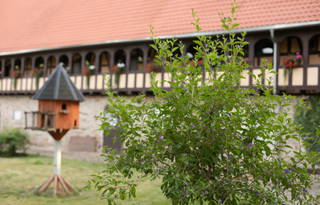 Rittergut Schwanditz aus Göllnitz