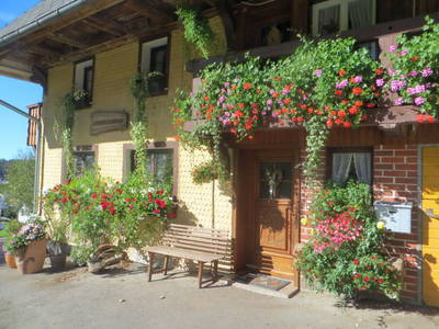 Bild 9 aus  Leihwieserhof