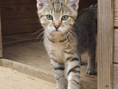 Bild 8 aus  Ferienhof Feinen