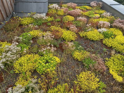 Bild 18 aus  Blogstube in Hinterhermsdorf