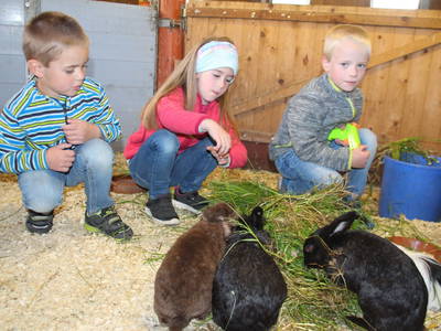 Bild 10 aus  Hof Muhs