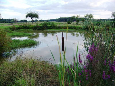 Bild 20 aus  Maison Cheval Blanc