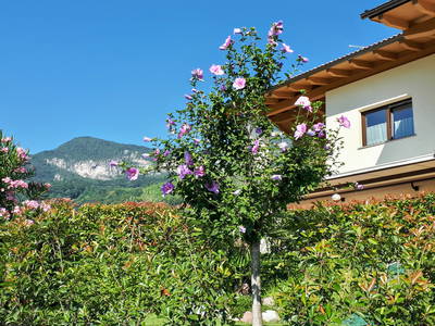 Bild 20 aus  Rebhof Kurtatsch