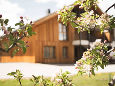 Bild 39 aus  Kessler’s Mountain Lodge