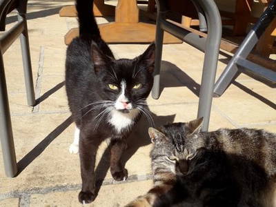 Bild 12 aus  Ferienhof Fink