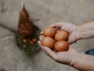 gerade erst abgeholt...
