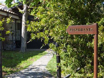 Bild 29 aus  Tenuta Il Cicalino