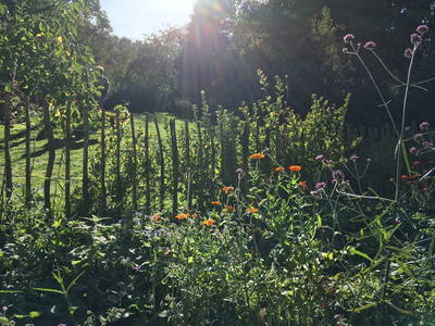 Bild 22 aus  Alte Schule Mechelsdorf - Idylle zw. Rerik und Kühlungsborn - 2,5 km zur Ostsee