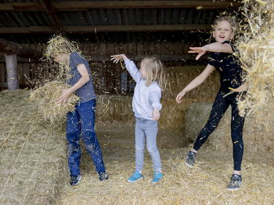 Bild 16 aus  Ferienbauernhof Ohr