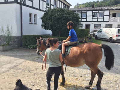 Bild 22 aus  Ferienhof  am Hennesee