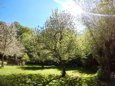 Bild 4 aus  SchleinersHof