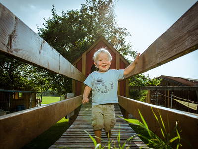 Bild 11 aus  Ferienhof Baur