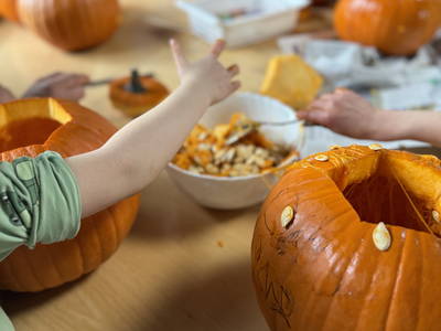 Bild 22 aus  Premium - Ferienhof Lunau