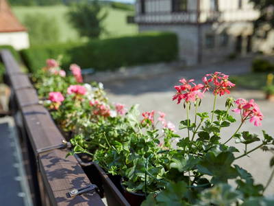 Bild 30 aus  Gutshof Gress