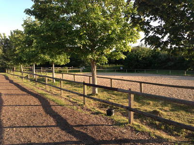 Bild 29 aus  Bernsteinreiter Hirschburg