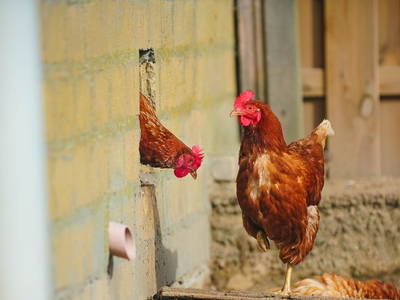 Hier gibt es frische Luft und grünes Gras