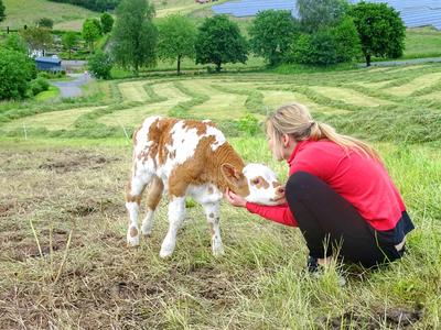 Bild 14 aus  Ferienhaus Schilz