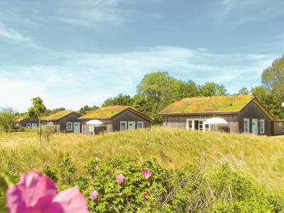 Bild 11 aus  STRANDDORF AUGUSTENHOF  - Ferienhäuser direkt an der Ostsee