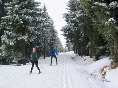 Bild 21 aus  Mühlenhof Seyde