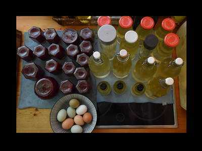 Bild 9 aus  Forstbauer am Millstätter Hochplateau