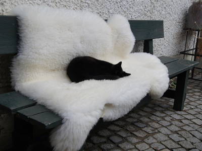 Bild 18 aus  Endlhof