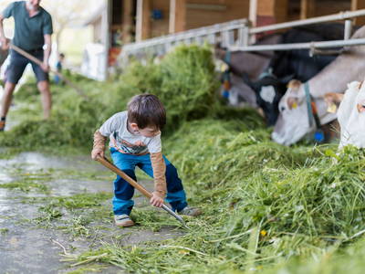 Bild 33 aus  Schädlerhof