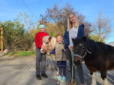 Bild 5 aus  Mojer Hof