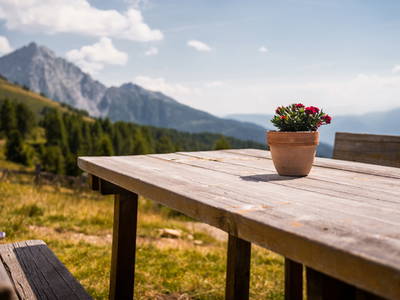 Bild 19 aus  Gasserhof B&B - Appartement