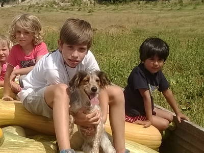 Bild 33 aus  Urlaub auf dem Lande zwischen den zwei Meeren - Apulien - Salento