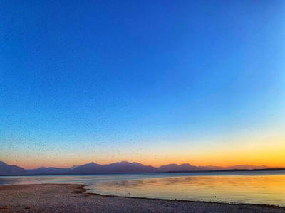 Bild 44 aus  Turm zu Schloss Schedling - Ferienwohnungen