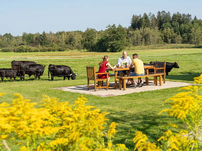 Bild 39 aus  LandSelection Hagerhof