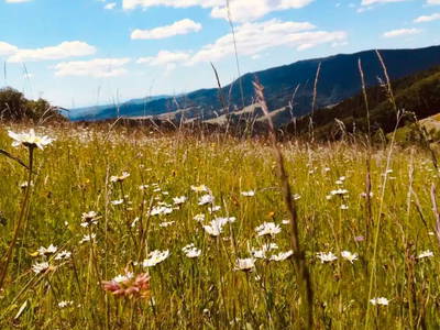 Bild 11 aus  Stinneshof