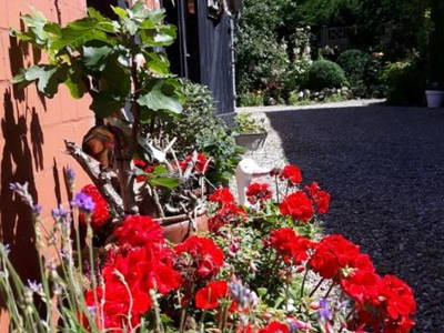 Bild 14 aus  Ferienhof Nielson