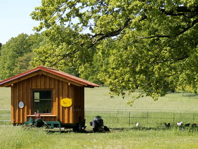 Bild 15 aus  Gut Sommereichen