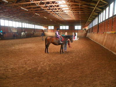 Bild 11 aus  Reiter- und Ferienhof Redder