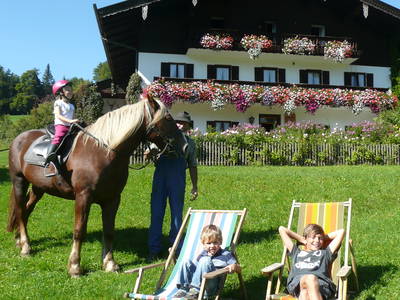 Bild 3 aus  Der Adlerhof