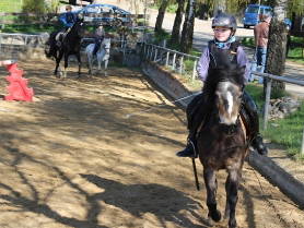 Bild 43 aus  Ferienhof Pulte